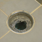 mold growth around a clogged drain